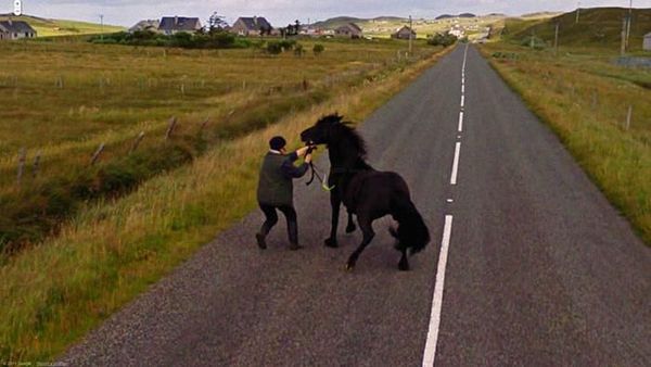 Aksi Hewan yang Tak Sengaja Tertangkap Kamera Google Street View