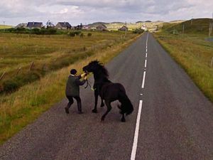 Aksi Hewan yang Tak Sengaja Tertangkap Kamera Google Street View Aksi Hewan yang Tak Sengaja Tertangkap Kamera Google Street View