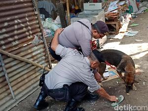 Anjing Pelacak Dikerahkan Selidiki Ledakan di Probolinggo