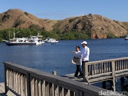 Hari Kedua di NTT, Jokowi Lihat Komodo di Pulau Rinca