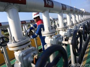Gandeng Mitra Baru, Pertamina EP Pastikan Bakal Genjot Penerimaan Negara