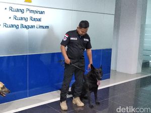 2 Anjing BNN Gagalkan Penyelundupan Ganja 169 Kg ke Jabar-Jakarta