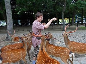 Bebas Lepas Rusa-Rusa di Nara Park Nikmati Musim Semi
