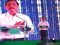 Bos Gojek Jadi Menteri Usia 35 Tahun, Luhut: Saya Masih Gendong Ransel