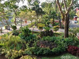 Pemkot Surabaya Anggarkan Rp 8 Miliar untuk Tanaman