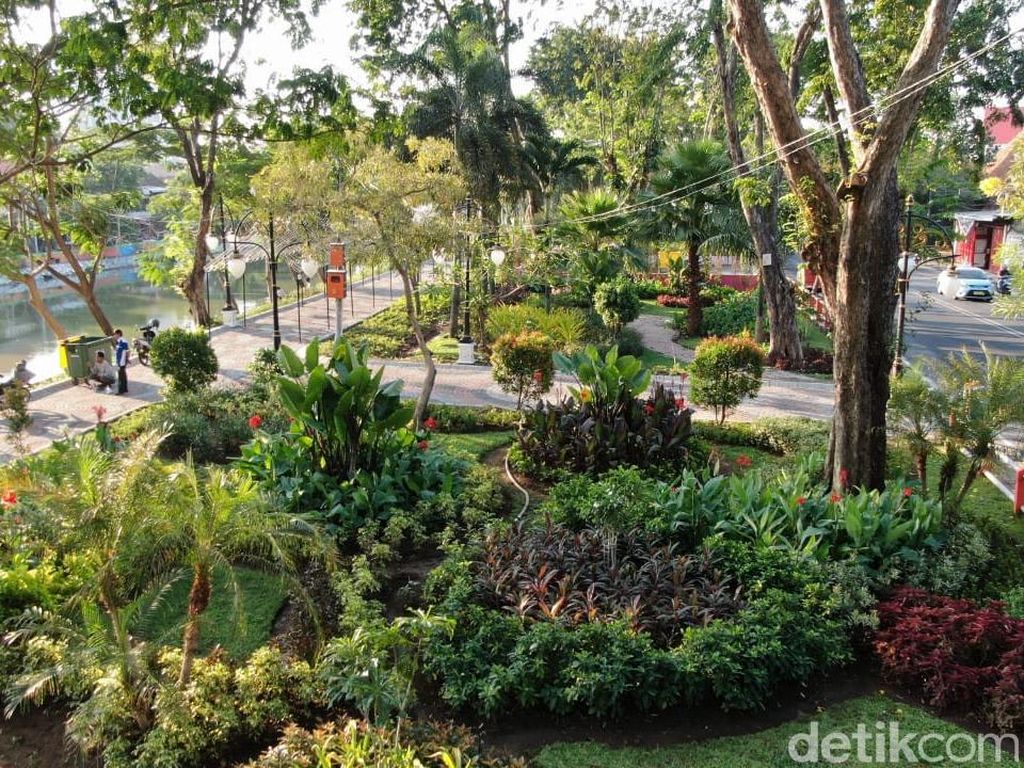 Pemkot Surabaya Anggarkan Rp 8 Miliar untuk Tanaman Pemkot Surabaya Anggarkan Rp 8 Miliar untuk Tanaman