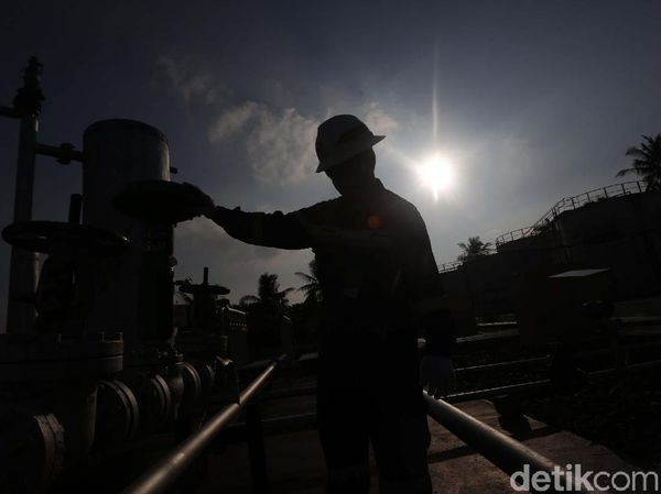 Melihat Fasilitas Produksi Minyak Pertamina Rantau Field