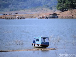 Pemkab Sumedang Segera Evakuasi Buaya yang Huni Waduk Jatigede