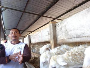 Ikut Program ACT, Peternak Bisa Pergi Umrah Gratis