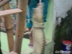 Buaya di Atas Rumah Warga Malang Diserahkan BKSDA, Siapa Pemiliknya?