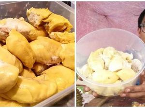 Jual Durian Kupas dengan Harga Murah, Penjual Durian dari Kedah Ini Viral Jual Durian Kupas dengan Harga Murah, Penjual Durian dari Kedah Ini Viral