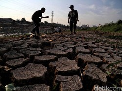 Pemerintah Cari Langkah Antisipasi Kekeringan