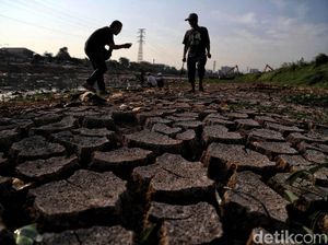 Pemerintah Cari Langkah Antisipasi Kekeringan Pemerintah Cari Langkah Antisipasi Kekeringan