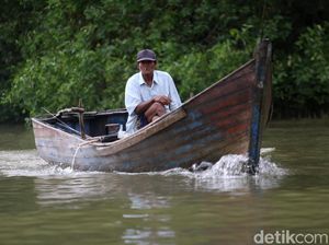 Menyusuri Muara Sungai Tamiang