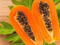 Pahit Daun Pepaya Bisa Bantu Sembuhkan Demam Berdarah