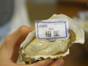 Di Tempat Ini Bisa Makan Tiram Jepang Paling Segar Sepuasnya