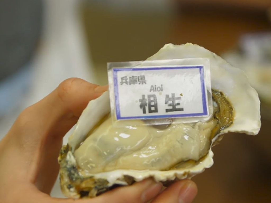 Di Tempat Ini Bisa Makan Tiram Jepang Paling Segar Sepuasnya Di Tempat Ini Bisa Makan Tiram Jepang Paling Segar Sepuasnya