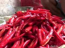 Harga Melambung, Konsumen Pilih Beli Cabai Tanpa Biji