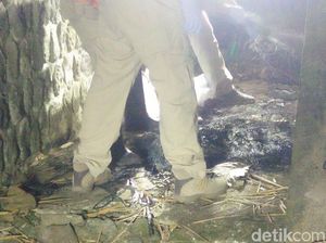 Ini Alat yang Dipakai Mutilasi Perempuan Warga Bandung Ini Alat yang Dipakai Mutilasi Perempuan Warga Bandung
