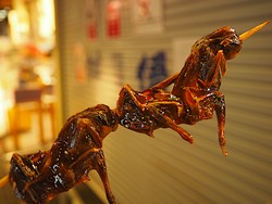 Jalan-jalan di Kyoto Bisa Jajan Burung Pipit Goreng yang Gurih