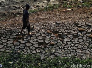 BPBD Jabar: Kabupaten Bogor-Bandung Mulai Laporkan Kekeringan BPBD Jabar: Kabupaten Bogor-Bandung Mulai Laporkan Kekeringan