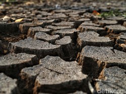 9 Kabupaten di NTT Alami Kekeringan Ekstrem