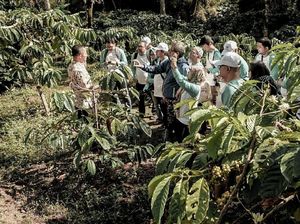 Eksplorasi Kawasan Borobudur, Tak Hanya Lihat Candi Lho!