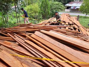 KLHK Sita Ribuan Kayu Olahan Ilegal di Nunukan