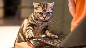 Dampak Kocak Teknologi: Kucing Jadul vs Kucing Zaman Now