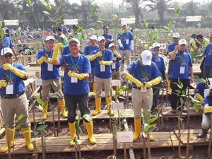 Cegah Abrasi, 10 Ribu Bibit Bakau Ditanam di Pantai Indah Kapuk Cegah Abrasi, 10 Ribu Bibit Bakau Ditanam di Pantai Indah Kapuk