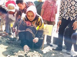 Pertamina Hulu Energi dan Pemkab Karawang Tanam 40.000 Mangrove