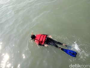 Foto: Mencari Terumbu Karang di Karawang