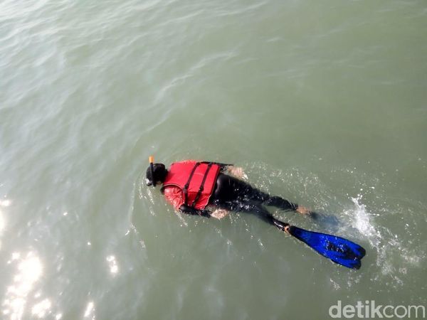 Foto: Mencari Terumbu Karang di Karawang