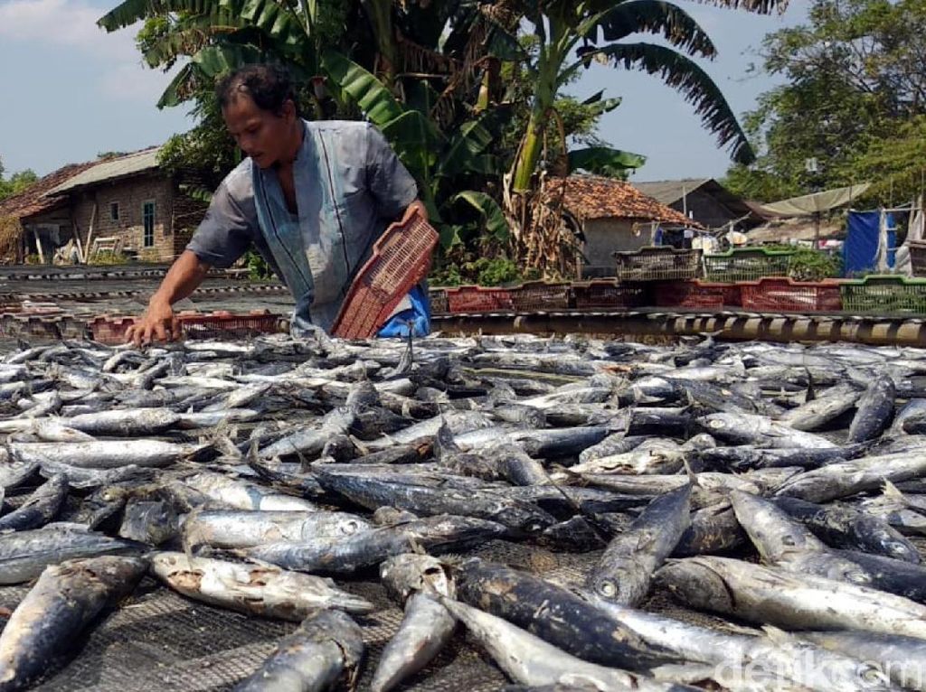 Sarapan Ikan Asin Bisa Menyebabkan Hipertiroid, Benar Nggak Sih? Sarapan Ikan Asin Bisa Menyebabkan Hipertiroid, Benar Nggak Sih?