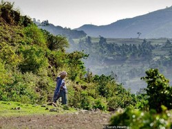 Mengenal Hutan Keramat di Ethiopia Utara