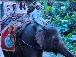 Liburan di Bali, Dani Alves Jalan-jalan di Kebun Binatang