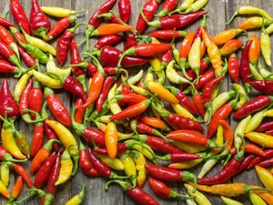 Tekan Harga, Kementan Jual Cabai Murah di Toko Tani Indonesia