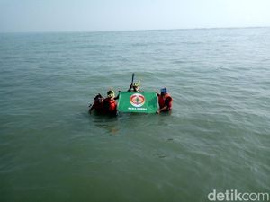 Ekspedisi Mencari Terumbu Karang di Karawang