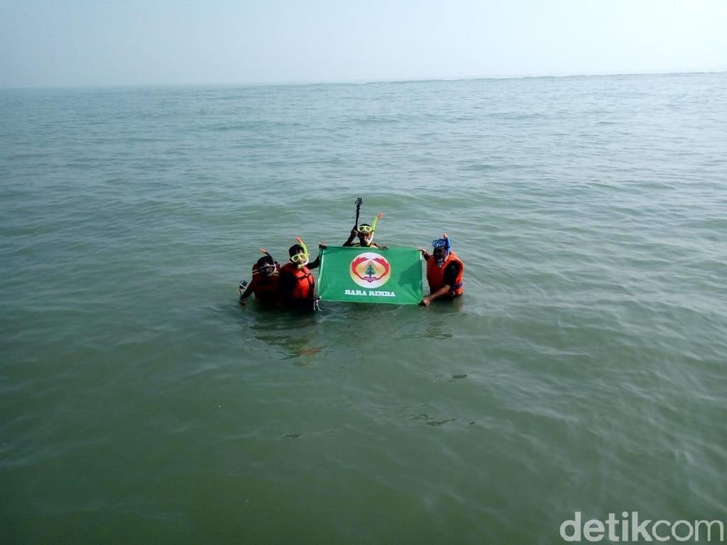 Ekspedisi Mencari Terumbu Karang di Karawang Ekspedisi Mencari Terumbu Karang di Karawang