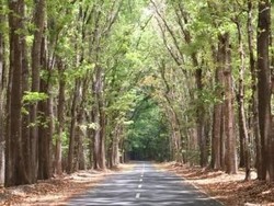 Kocak! Bukan Bali, Ini Rekomendasi Tempat Mistis dari Netizen buat Kristen Gray