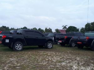 Sebagian Mobil Dinas Pemprov Riau yang Dikandangkan Belum Bayar Pajak