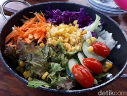 Asyiknya Main ke Kebun Hidroponik dan Racik Salad Sendiri