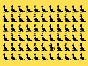 Uji Kecepatan dan Ketajaman Mata Lewat Gambar Ini