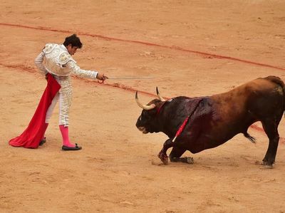 Aksi Matador Bertarung Melawan Banteng di Festival San Fermin