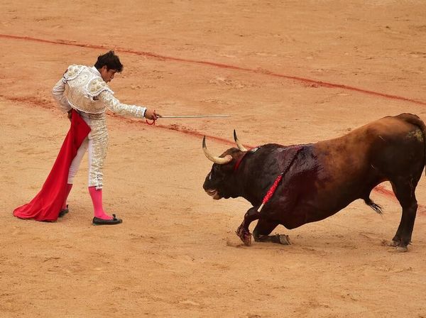 Aksi Matador Bertarung Melawan Banteng di Festival San Fermin