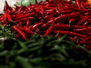 Harga Cabai di Brebes Tembus Rp 60.000/Kg