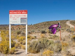 Mengenal Area 51 yang Sempat Viral & Ingin Diserbu Netizen