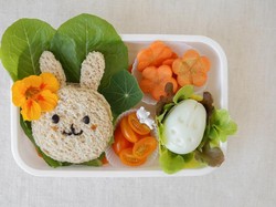 Agar Bekal Sekolah Dimakan Habis dan Bernutrisi, Ini 5 Tips Meraciknya