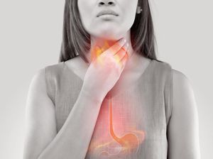 Hati-hati! 5 Jenis Sayuran Ini Pernah Membunuh Manusia Hati-hati! 5 Jenis Sayuran Ini Pernah Membunuh Manusia