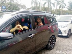 Touring Mobil Bawa Ular Peliharaan, Bagaimana Sensasinya?